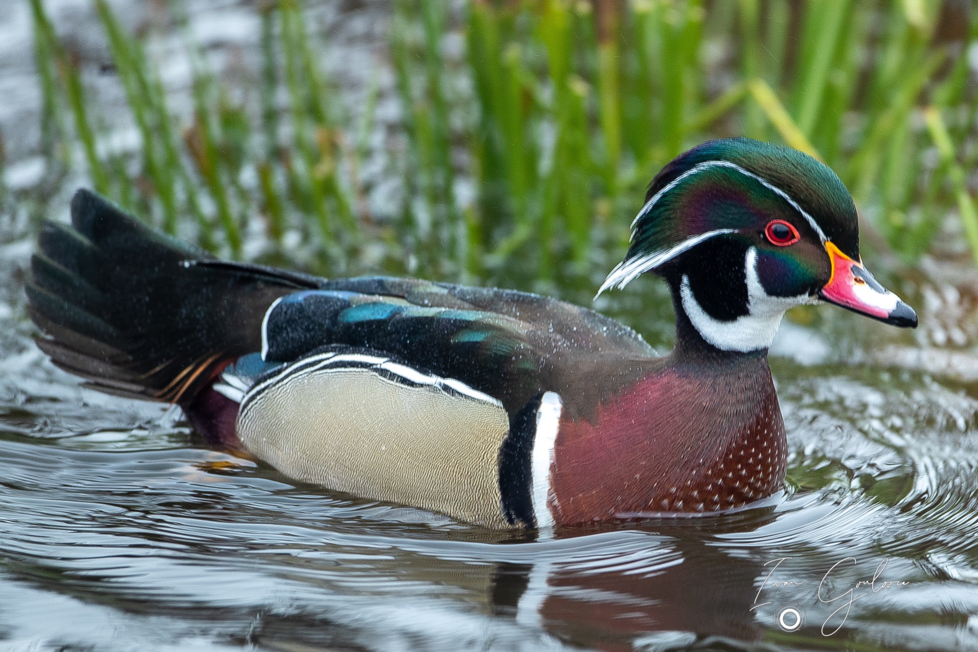 1DX46790 12 december 2021 1440 06